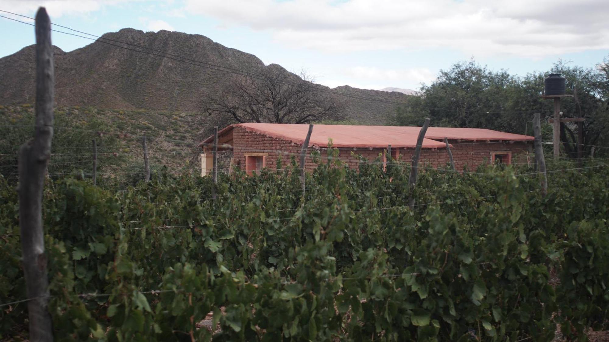 Hospedaje Finca La Encantada Seclantás Exterior photo